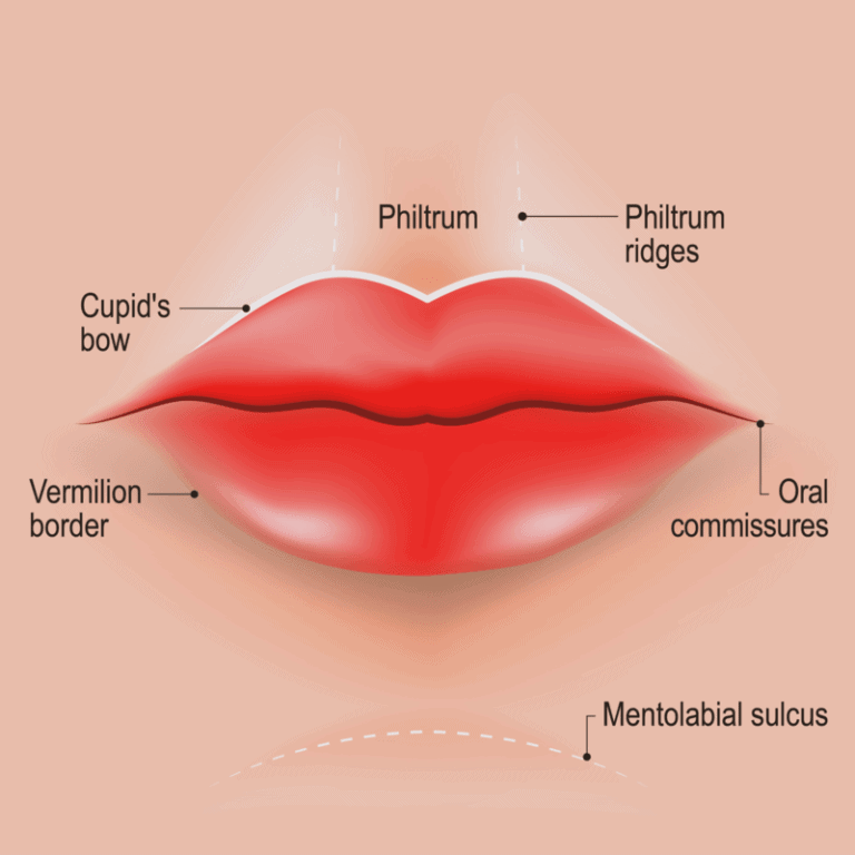 The Secrets of Regaining Luscious and Beautifully Shaped Lips Revealed