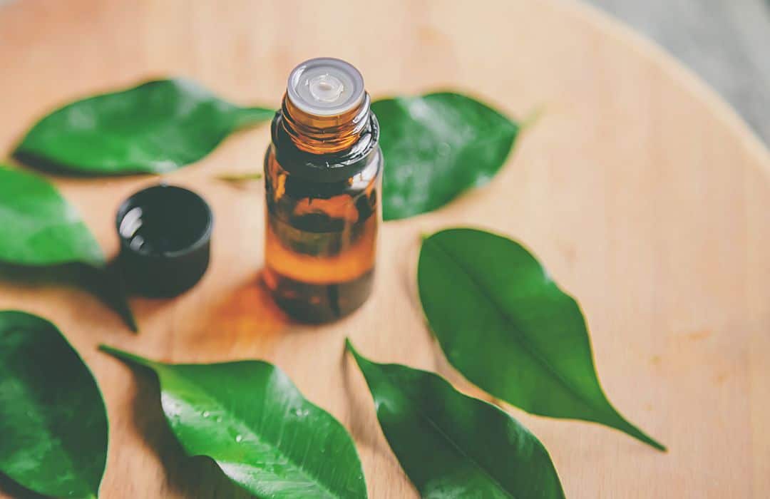 tea-tree-oil-acne-treatment