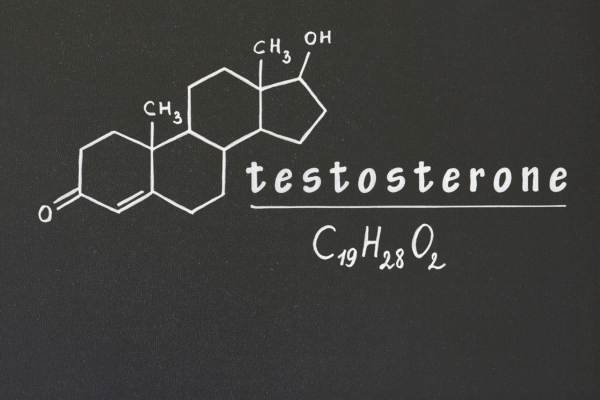 oily skin, androgens, testoterone, estrogen, acne, acne scars, treatment for acne